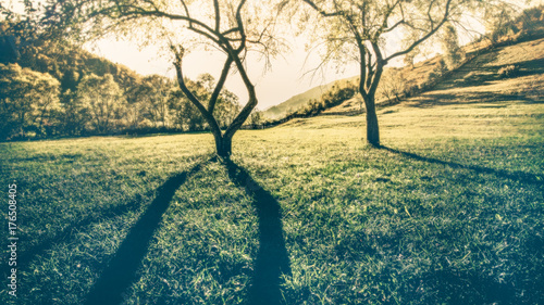Tableau sur toile warm shadows