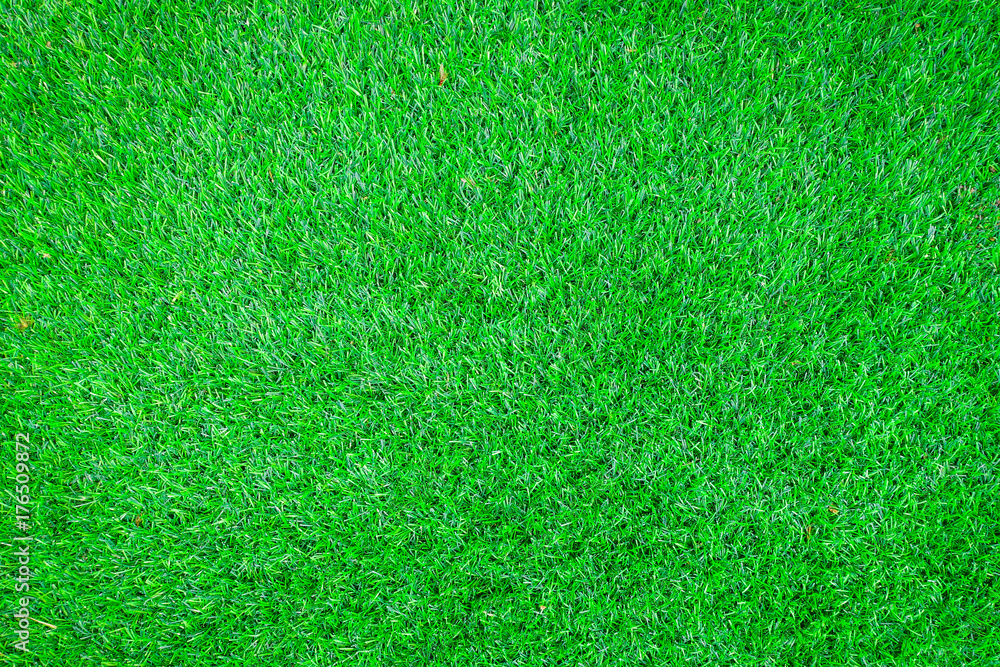 Fototapeta premium grass background