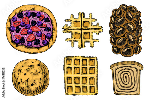 bread and pastry donut, Belgian waffles and fruit pie. cupcake and sweet bun or pretzel and toasts. engraved hand drawn in old sketch and vintage style for label and menu bakery shop. organic food.