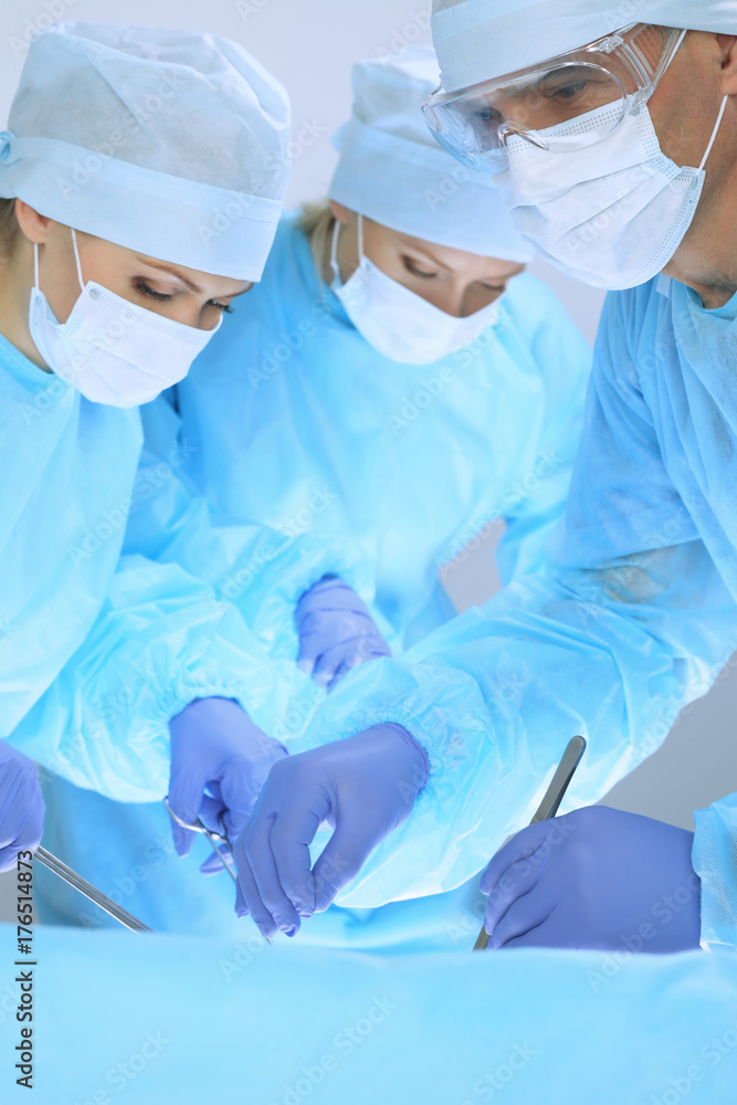 Fototapeta premium Medical team performing operation. Three of surgeons at work are busy of patient. Medicine, veterinary or healthcare and emergency in hospital