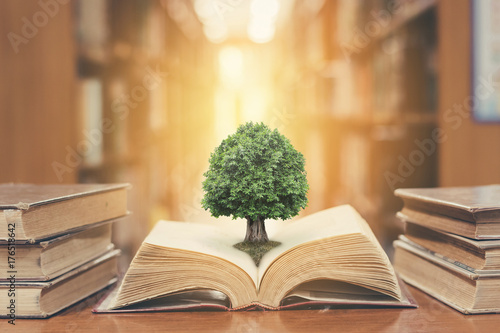 World philosophy day concept with tree of knowledge planting on opening old big book in library full with textbook, stack piles of text archive and blur aisle of bookshelves in school study class room photo