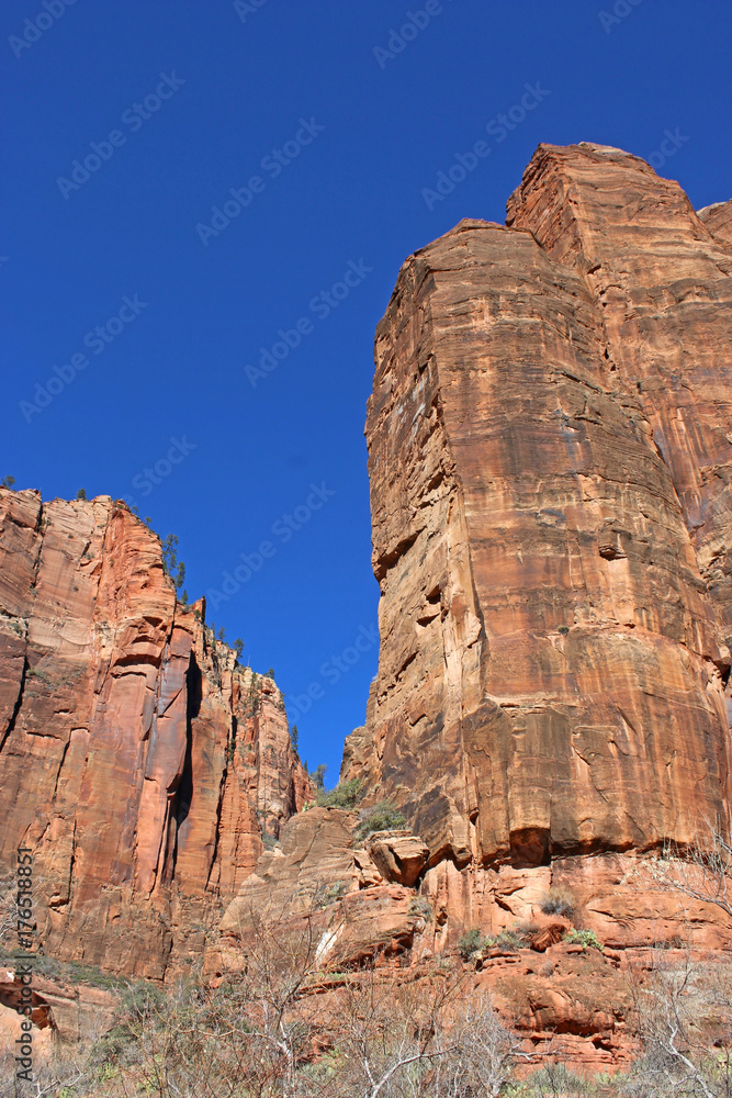 Fototapeta premium Zion National Park, Utah