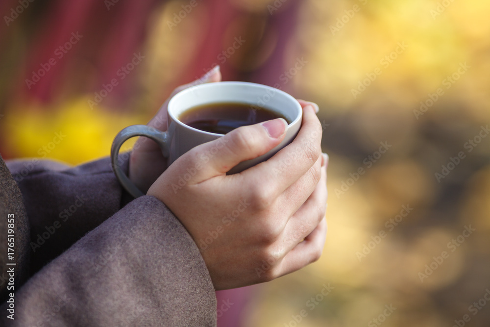 Girl in jacket sitting on the bench, holding a coffee or tea, a young outdoors, spring or fall, life style, the concept of the city, lifestyle Girl in jacket sitting on the bench, holding a coffee or tea, a young outdoors, spring or fall, life style, the concept of the city, lifestyle