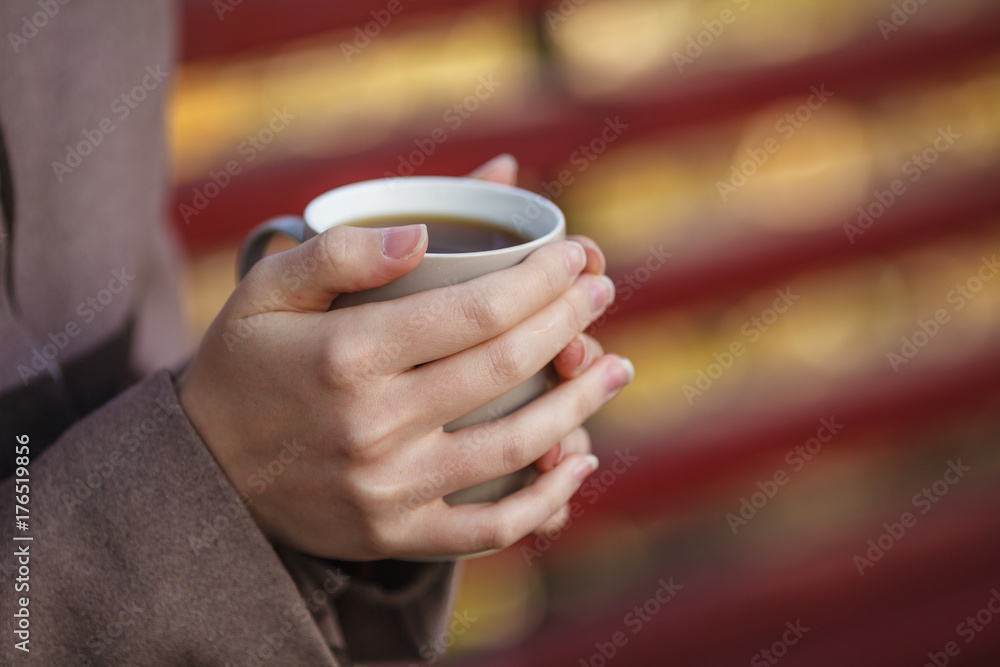 Fall concept - autumn woman drinking coffee on park bench under fall foliage Fall concept - autumn woman drinking coffee on park bench under fall foliage