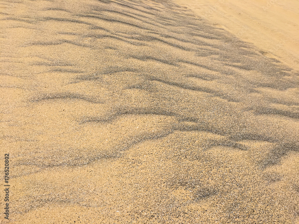 Fototapeta premium Moving sands and texture on a beach