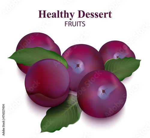 Fresh plum vector isolated on white. Organic fruits