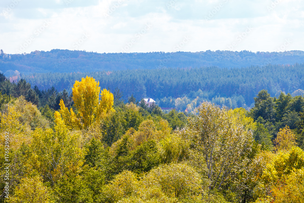 Autumn landscape. Yellow trees, blue sky and a small house in the forest.