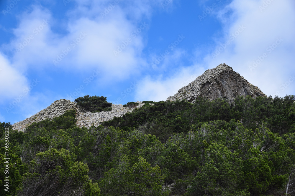 Landscape and terrain around Pico de Ana Ferreira, Porto Santo, Madeira, Portugal