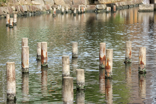 Wood stumps in the river with reflection on the water