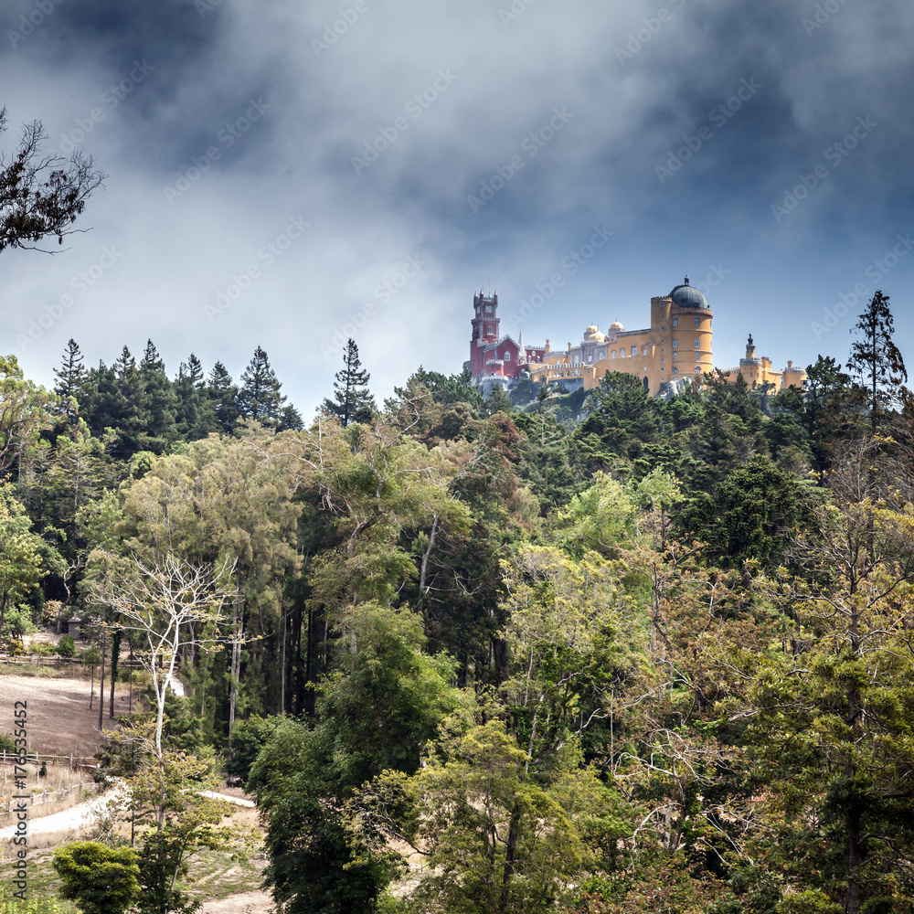 Square summer landscape with Pena Palace