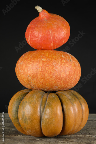 citrouille, potiron, potimarron, butternut