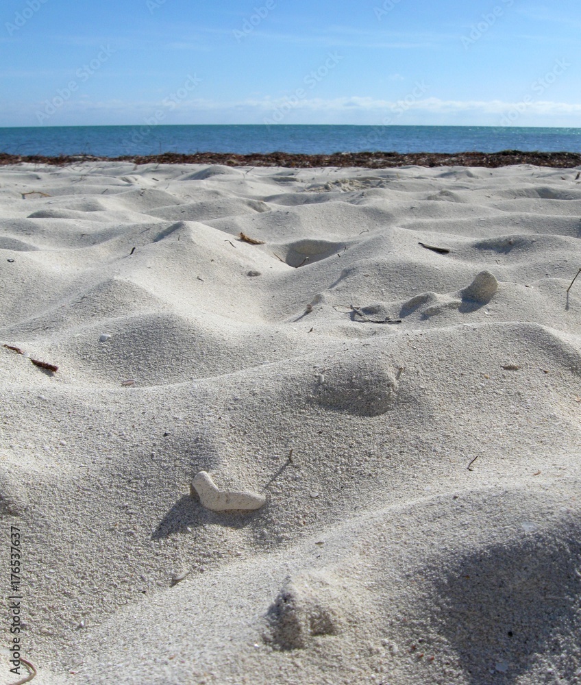 Beach scenery detail from tropical Florida Keys. Beach scenery detail from tropical Florida Keys.
