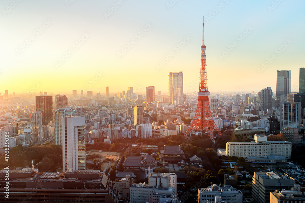 Fototapeta premium Widok miasta Tokio widoczny na horyzoncie