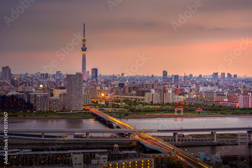 Canvas Print Tokyo Cityscape at night, Japan.