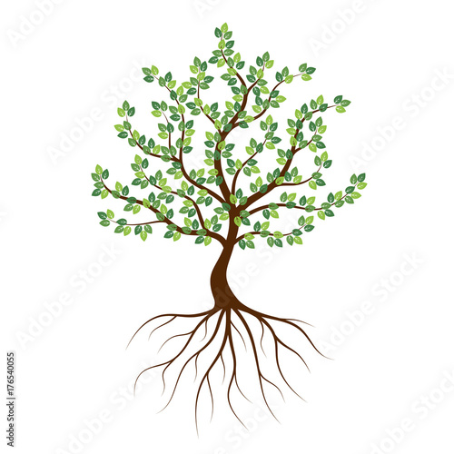 Green tree with roots an icon on a white background.