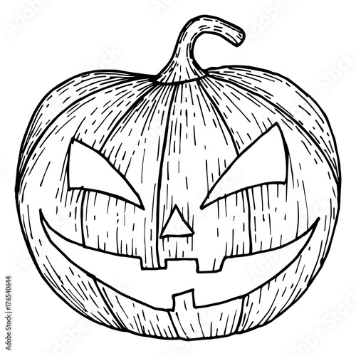 Carved Halloween pumpkins, scary Halloween sketch illustration. Vector