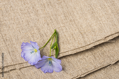flax - linen flower on a linen textile