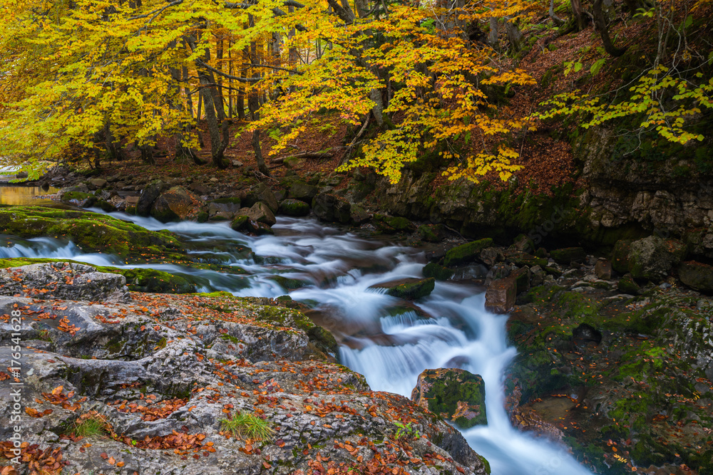 Small corner on Arazas river during in Autumn at National Park of Ordesa Small corner on Arazas river during in Autumn at National Park of Ordesa