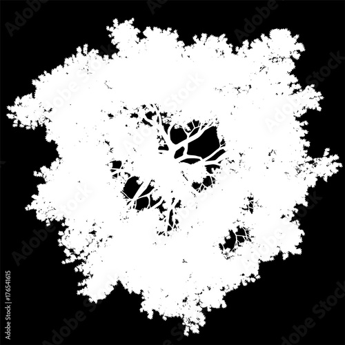 tree top view silhouette isolated - white - vector