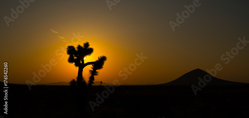Mojave Desert Sunrise