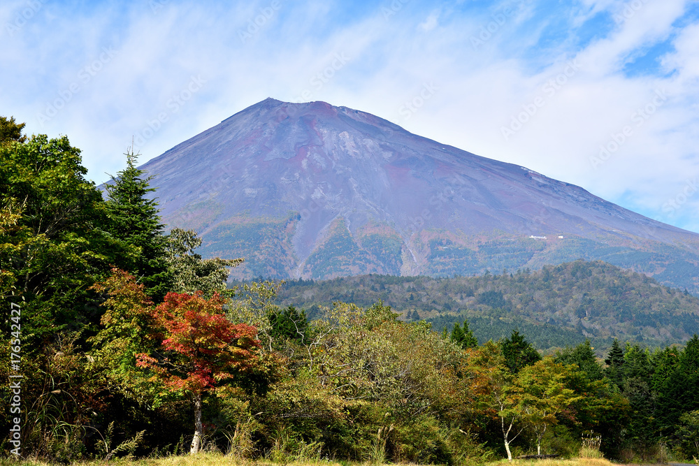 Fuji and autumn leaves