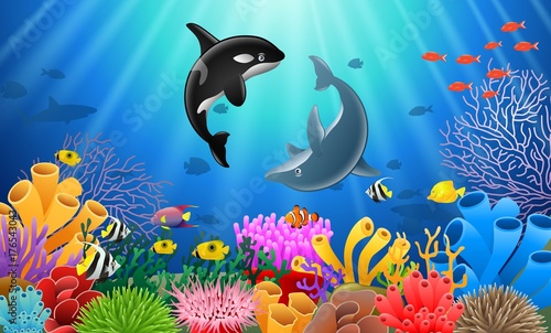 Killer whales and dolphin cartoon with underwater view and coral background. Vector Illustration.