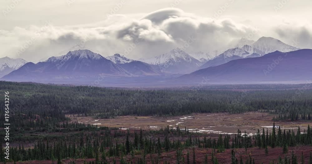 Denali, snow mountain and tundra Denali, snow mountain and tundra