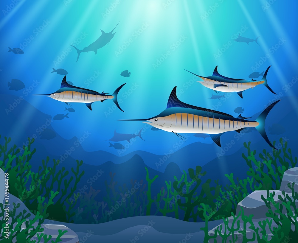 Obraz premium Blue Marlin Fish Swimming Under Water Cartoon Animal Character. Vector Illustration.