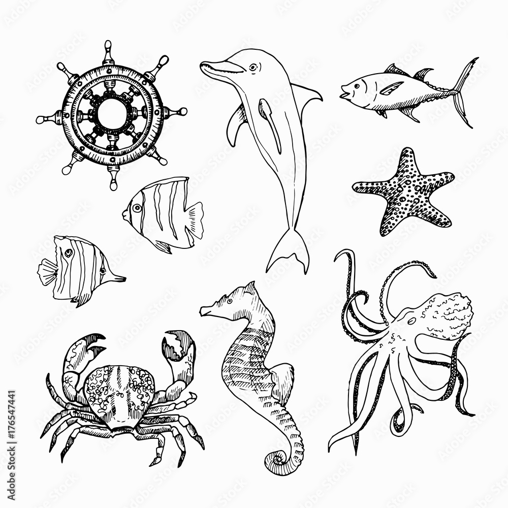 Underwater animal octopus isolated sketch marine Vector Image