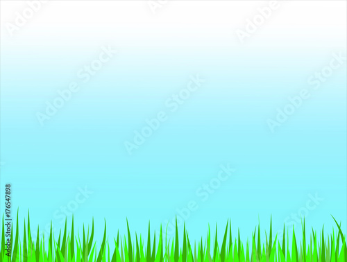 tall grass leaves stripe on blue sky easter spring background 