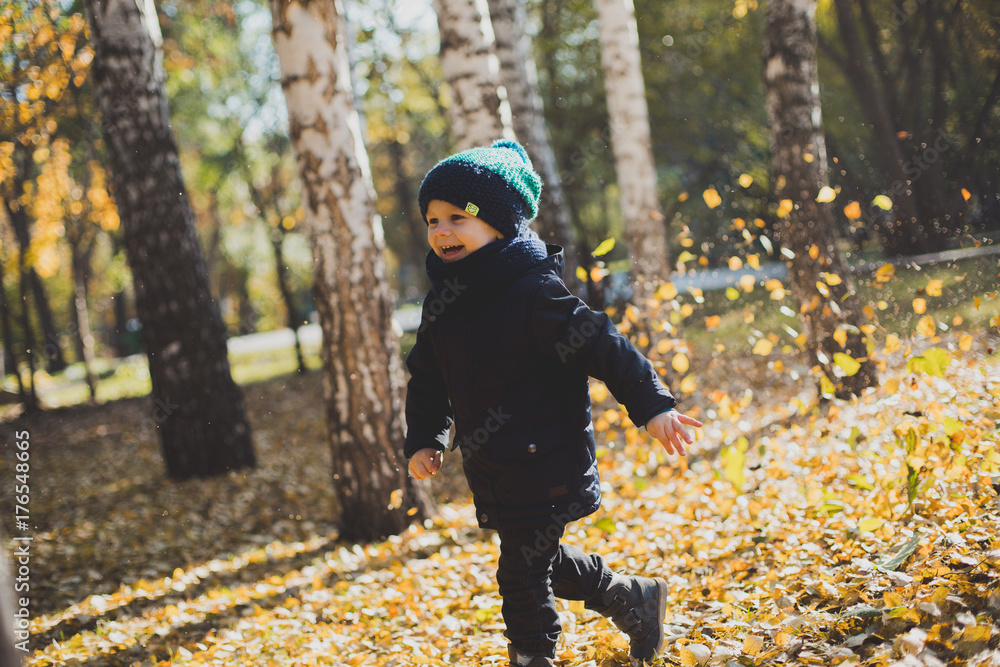 a little boy playing in autumn forest, collecting leaves a little boy playing in autumn forest, collecting leaves