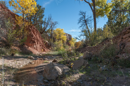 Views along a New Mexico Creek
