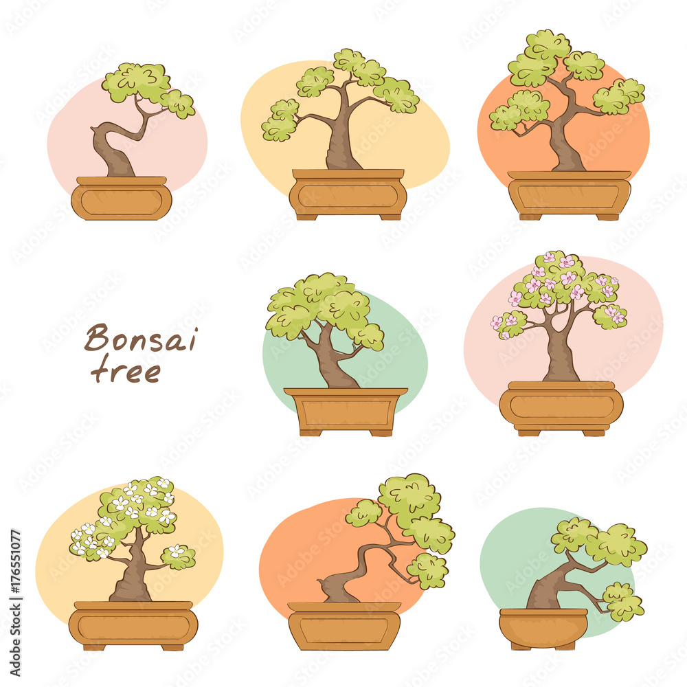 Set of bonsai trees in a pot, cartoon sketched style, vector