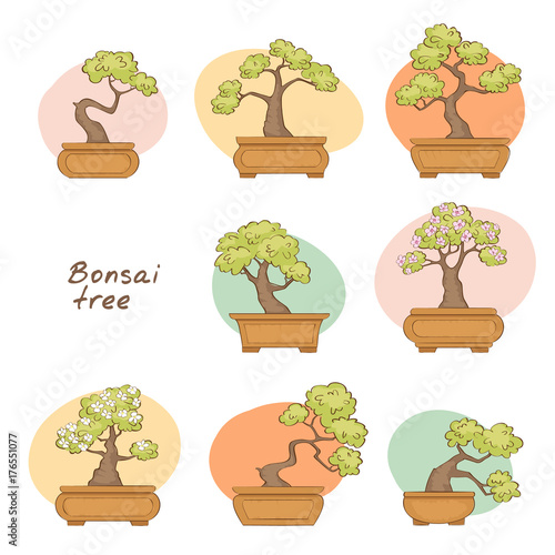 Set of bonsai trees in a pot, cartoon sketched style, vector illustration