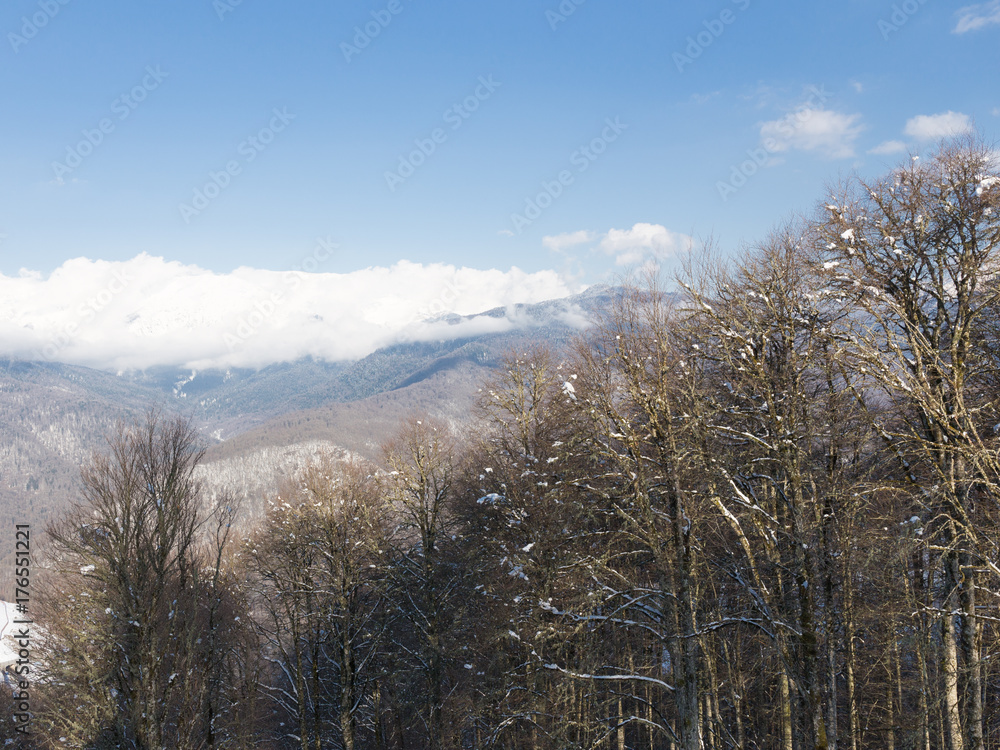 Early spring in the mountains Early spring in the mountains