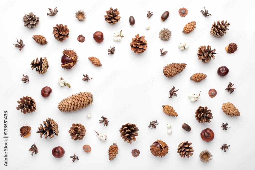 Autumn composition, frame made of pine cones, acorns and chestnuts. Flat lay, top view. Autumn composition, frame made of pine cones, acorns and chestnuts. Flat lay, top view.