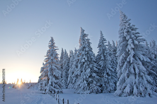 Blaue Stunde im Winter © swa182