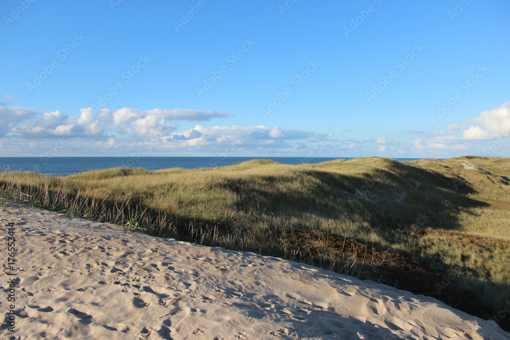 Stranddüne Dänemark mit Blick aufs Wasser