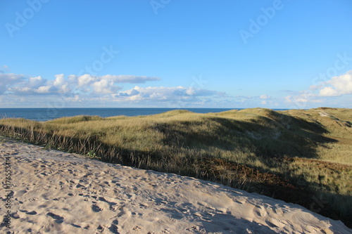 Strandd  ne D  nemark mit Blick aufs Wasser