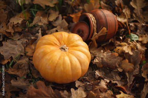 Orange pumpkin and a clay pot are on fallen leaves