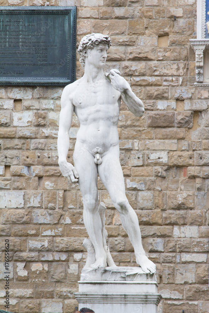 Obraz premium Statue David