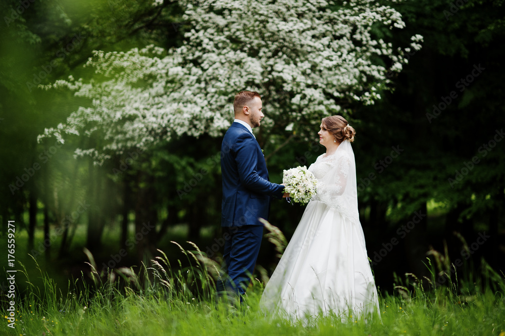 Stunning wedding couple enjoying each other's company in park with blossoming trees on the background.