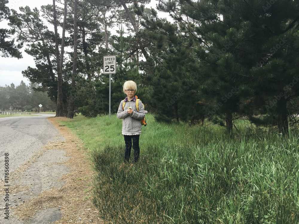 child standing on side of road holding flowers child standing on side of road holding flowers