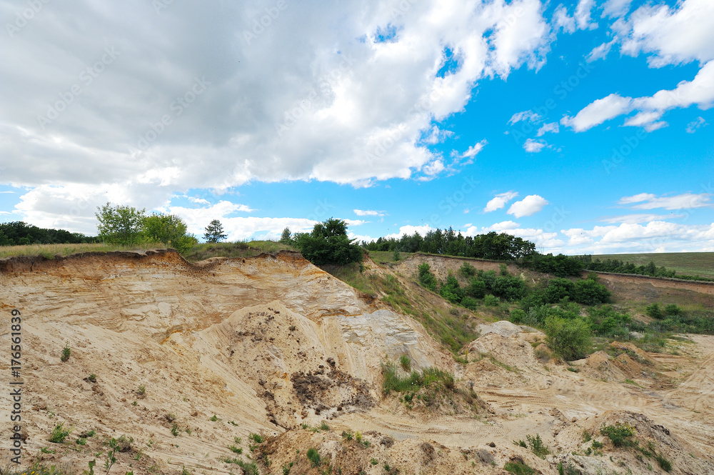 A lot of nests of swallows in the canyon in the form of a depression and holes