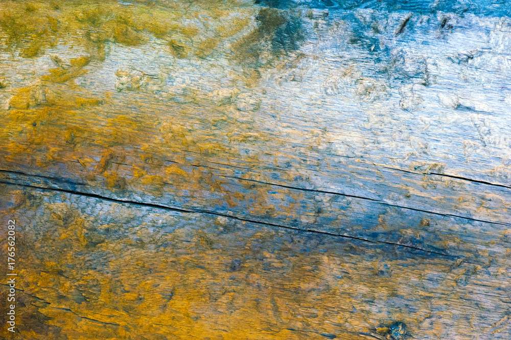 Naklejka premium Slice of wood with annual rings. Abstract texture or background