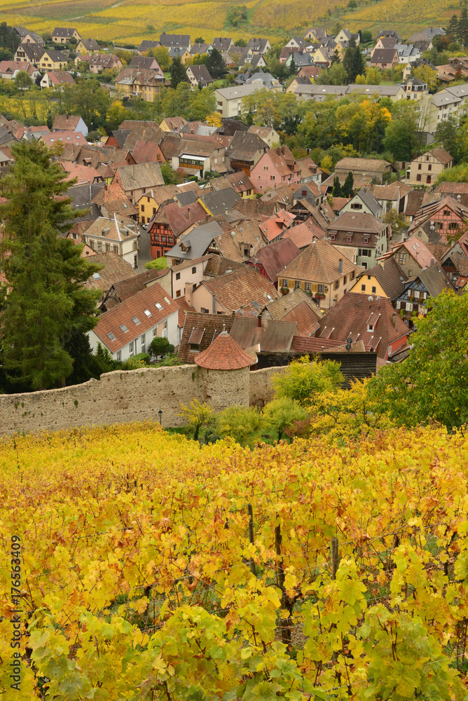 Vue sur Ribeauvillé (Alsace) et son vignoble en automne – A view over Ribeauvillé (Alsace, France) and its vineyard in autumn