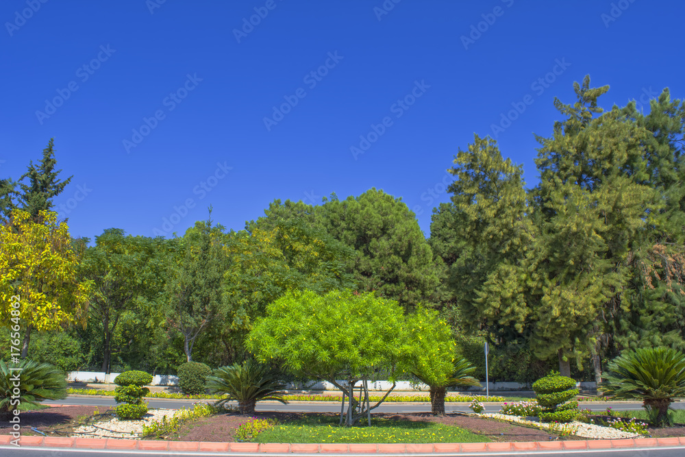 Green trees, landscape design in the Ataturk park - Antalya, Turkey