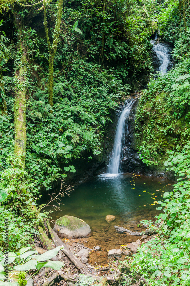 San Luis waterfall in a cloud forest of Reserva Biologica Bosque Nuboso Monteverde, Costa Rica San Luis waterfall in a cloud forest of Reserva Biologica Bosque Nuboso Monteverde, Costa Rica