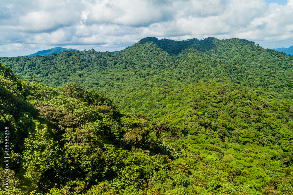 Cloud forest covering Reserva Biologica Bosque Nuboso Monteverde, Costa Rica
