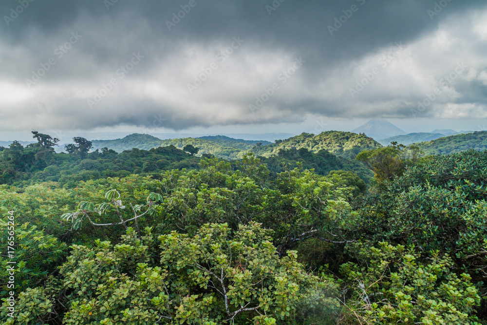 Cloud forest covering Reserva Biologica Bosque Nuboso Monteverde, Costa Rica.